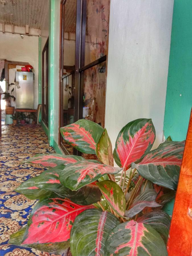 Abba Homestay 제너럴 루나 외부 사진